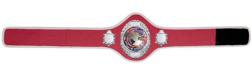 CHAMPIONSHIP BELT PRO286/S/FLAGS - AVAILABLE IN 10+ COLOURS CHAMPIONSHIP BELT PRO286/S/FLAGS - AVAILABLE IN 10+ COLOURS